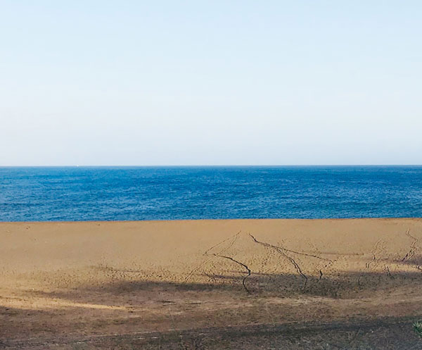 Blick auf das Meer