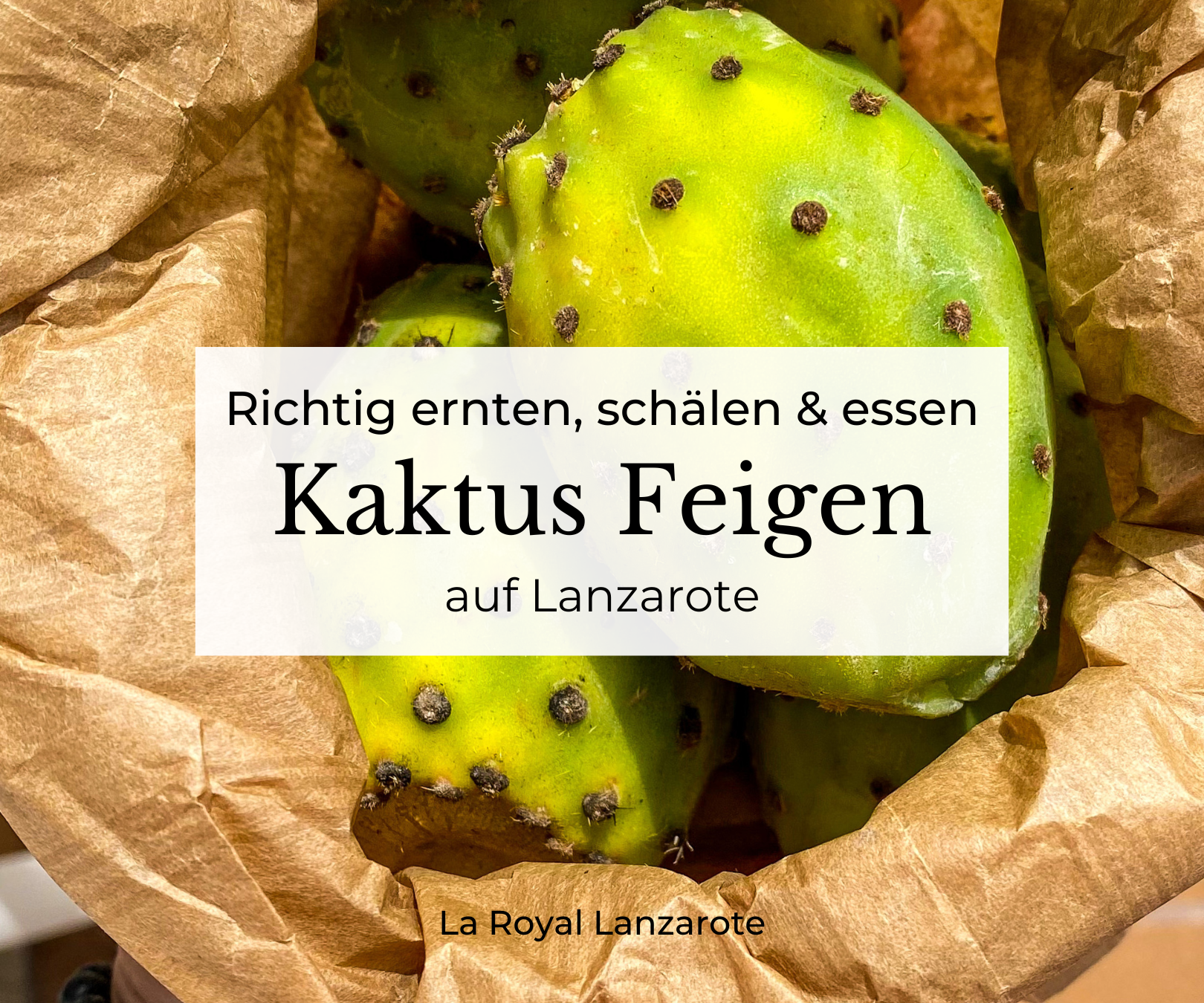 Kaktus Feigen in einer Papier Tüte