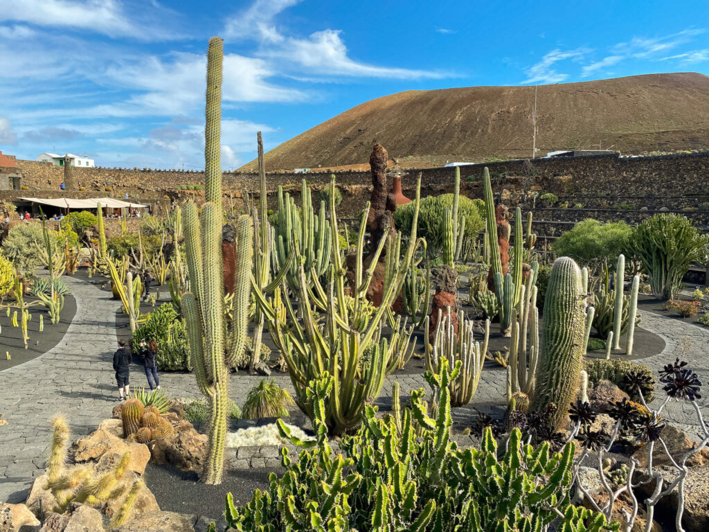 Kaktusgarten auf Lanzarote