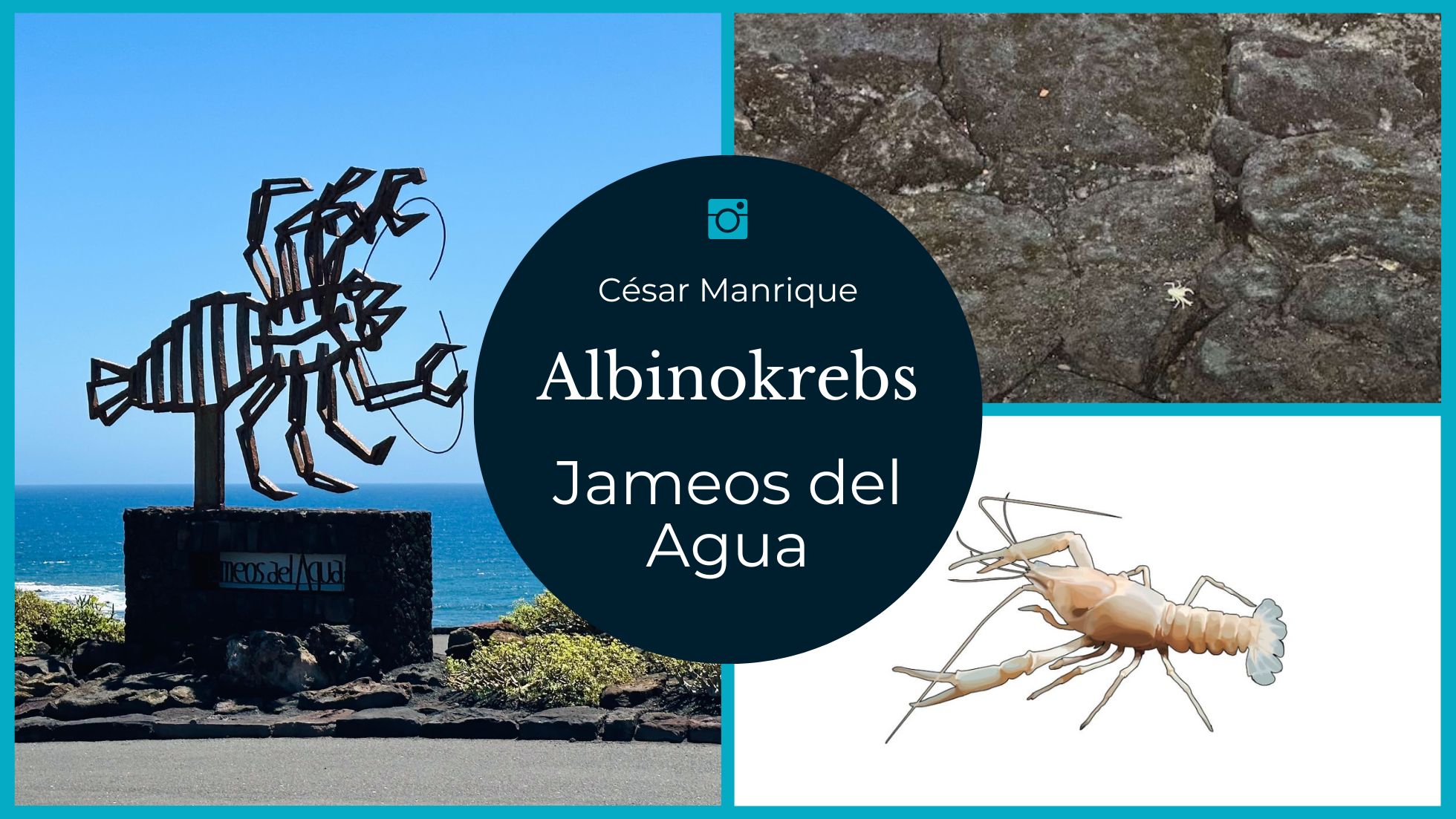 Lanzarote Krebs Jameos del Agua